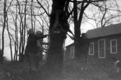 Deer season in Honor, 1969.