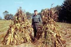 Daniel Arnold in a corn field near Lake Ann, October, 1970.
