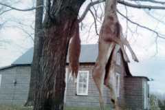 1970-11-15-Honor-Deer-Harvest