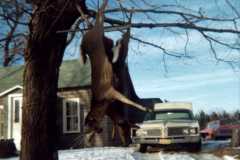 1970-11-15-Honor-Deer-Season-Success
