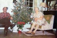 Dan & Tracie Arnold. Christmas inside the Arnold homestead, December, 1970.