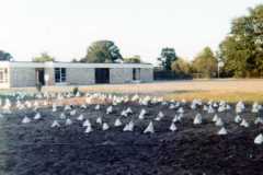 1971-07-01-est-Bexley-Garden-Hats
