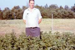Laban Arnold, Bexley Garden potato patch, 1971.