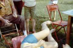 Horseplay at Bexley between Allen and Joyce Arnold, summer 1971.