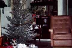 Christmas tree at the Arnold homestead, December 1971.