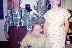 Dan, Allen, and Tracie Arnold, Christmas at the Arnold homestead, December 1971.
