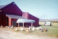 Farm scene at the Arnold homestead, April 1972.