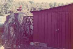 Farm scene at the Arnold homestead, April 1972.