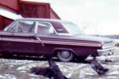 Farm scene at the Arnold homestead, April 1972.