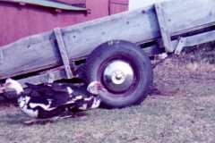 Farm scene at the Arnold homestead, April 1972.