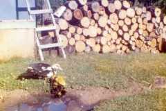 Farm scene at the Arnold homestead, April 1972.