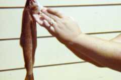 Doris Arnold holding nice trout, 1972.
