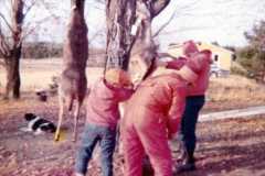 Deer season at the Arnold homestead, November 1972.
