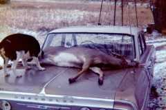 Deer season at the Arnold homestead. November 1972.