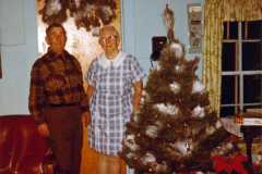 Daniel and Tracie Arnold, Christmas 1972.