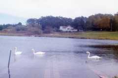 Taken at Empire Lake near the end of June, 1973.