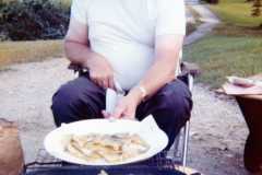 Trout fry, Arnold homestead, June 1973.