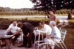 Trout fry, Arnold homestead, June 1973.