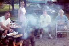Trout fry, Arnold homestead, June 1973.