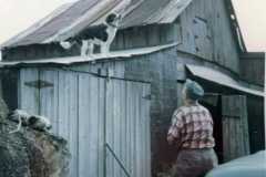 1973-07-01-Honor-Mike-Dog-1