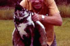 Duck for dinner, July 1973.