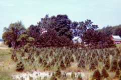 1973-07-04-Honor-Windmill-1