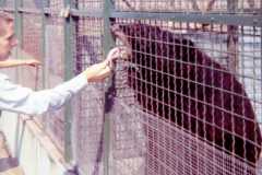 Traverse City Zoo, summer 1973.
