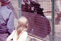Traverse City Zoo, summer 1973.