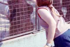 Traverse City Zoo, summer 1973.