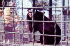 Traverse City Zoo, summer 1973.