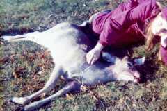 1973-11-15-Honor-Deer-Camp-ArnoldGJ1958