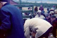 Auction sale at the Arnold homestead, April 13, 1974.