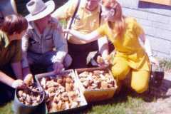 Mushroom hunting at the Arnold homestead, May 1974.