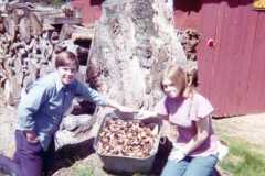 Mushroom hunting at the Arnold homestead, May 1974.