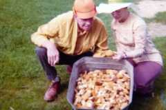 Mushroom hunting at the Arnold homestead, May 1974.