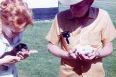 1974-07-01-SouthHaven-Princess-Pups-