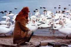 1974-12-25-ActipesEJ1941-Swans