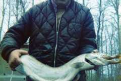 Mike Arnold with fish in a fish, trout fishing trip, 1975.