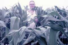 Laban Arnold in Ohio corn field, July 1977.