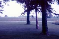 Front yard of Doris Moore old house. Kenton Ohio, September 1977.
