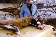 Deer season, November 1978.