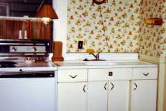 Kitchen at 904 Fourth Street in Jackson, 1979. Still have that sink base as a workbench in our basement, 40+ years later.