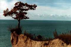 Lake Michigan near the Manor Beach at Allen and Eleanor Arnold's South Haven Home, 1980.