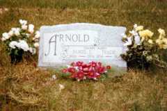 Daniel and Tracie Arnold, Platte Cemetery, Spring 1981.