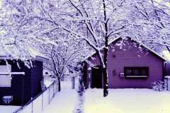 Dan and Peggy Arnold, back yard on Fourth street in Jackson, MI, Christmas 1981.