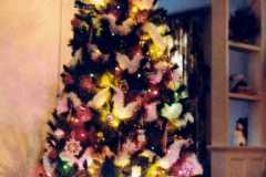 904 Fourth Street, Jackson MI, Christmas 1982.