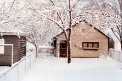 Back yard on Fourth street in Jackson, MI, March 1983.