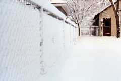 Back yard on Fourth street in Jackson, MI, March 1983.