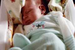 David Daniel Arnold, September 1983.