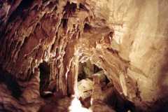Mammoth Cave, Kentucky, August 1984.